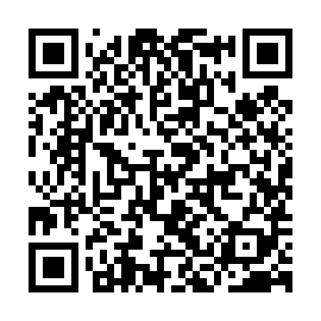QR code for ICY489