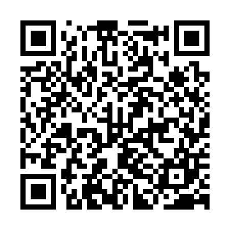 QR code for IDG307