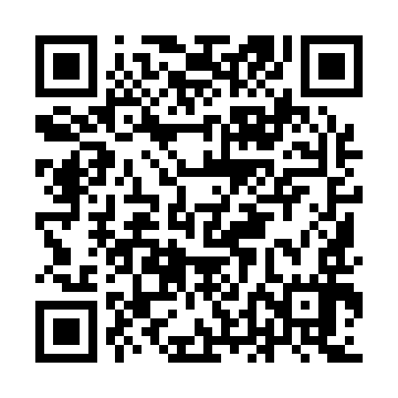 QR code for IDI197