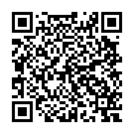 QR code for IDS017