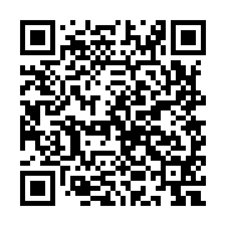 QR code for IEG994