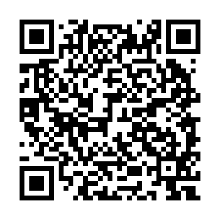 QR code for IET295