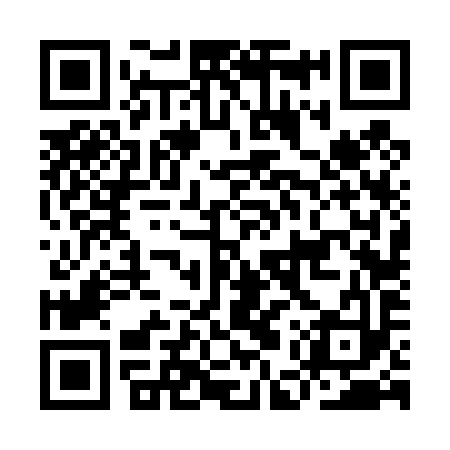 QR code for IEV493
