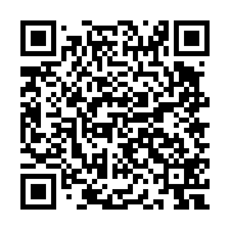 QR code for IFE419