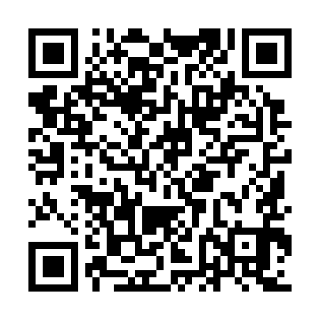 QR code for IFI391