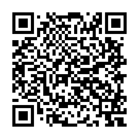 QR code for IFI581