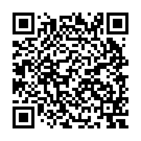 QR code for IGP295