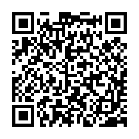 QR code for IGR493