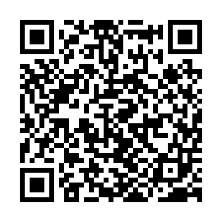 QR code for IIA203