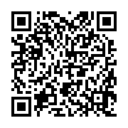 QR code for IIC294