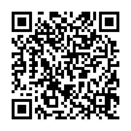 QR code for IIC314