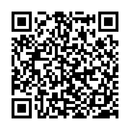 QR code for IIC323