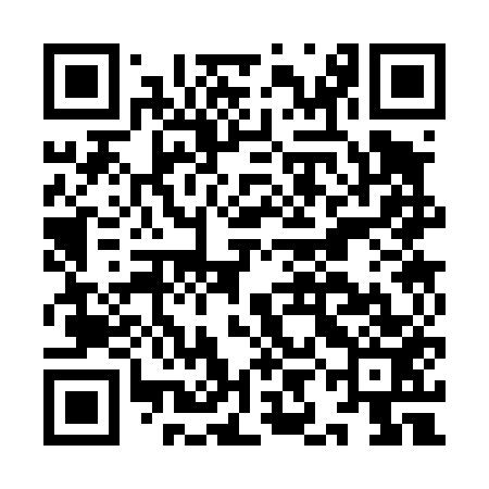 QR code for IIC453