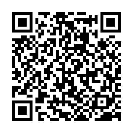 QR code for IIC868