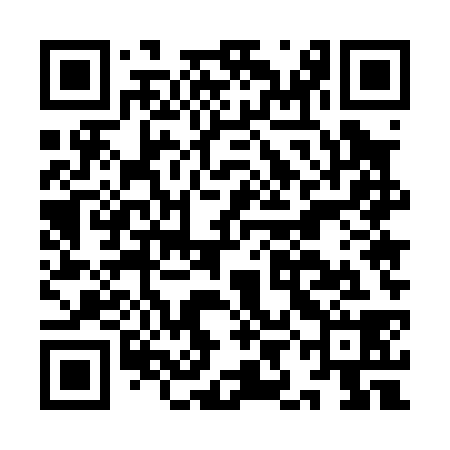 QR code for IIE038