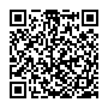 QR code for IIE573