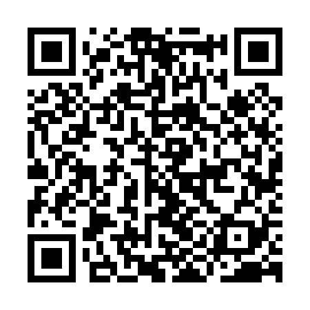QR code for IIF029