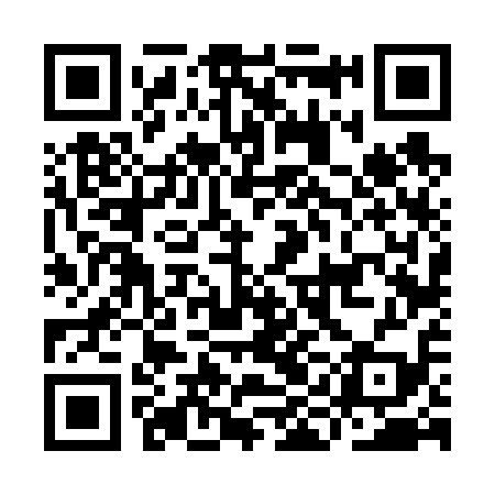 QR code for IIF619