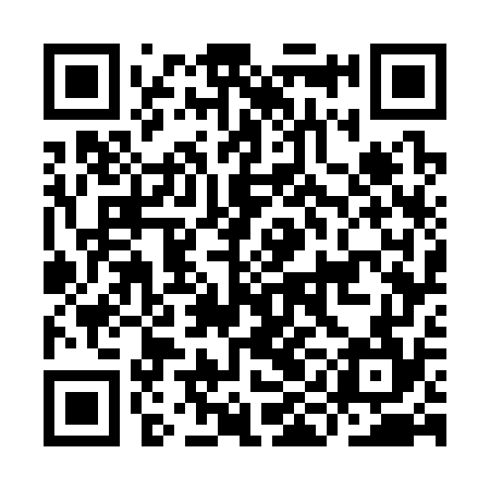 QR code for IIG374