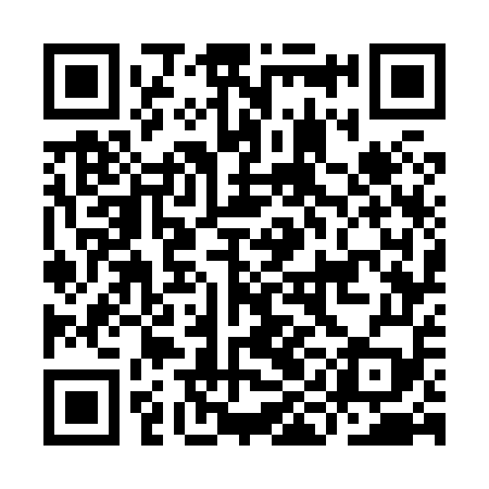 QR code for IIG859