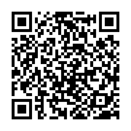 QR code for IIH738