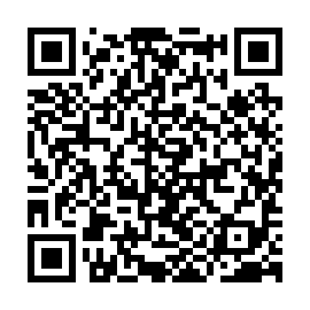 QR code for III299