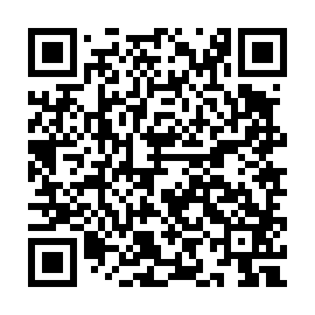 QR code for IIJ483