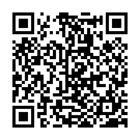 QR code for IIN024