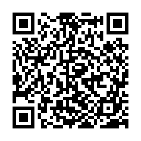 QR code for IIN267