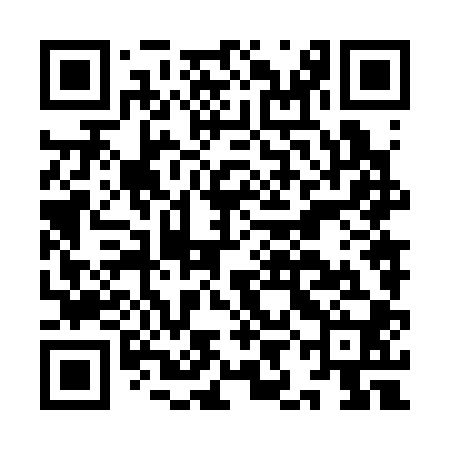 QR code for IIN300