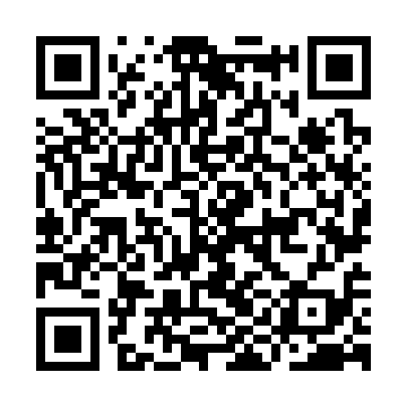 QR code for IIN319