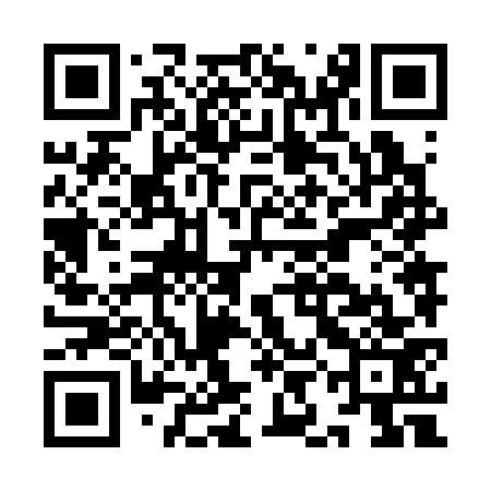 QR code for IIN373