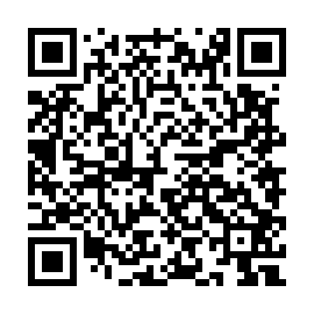 QR code for IIN502