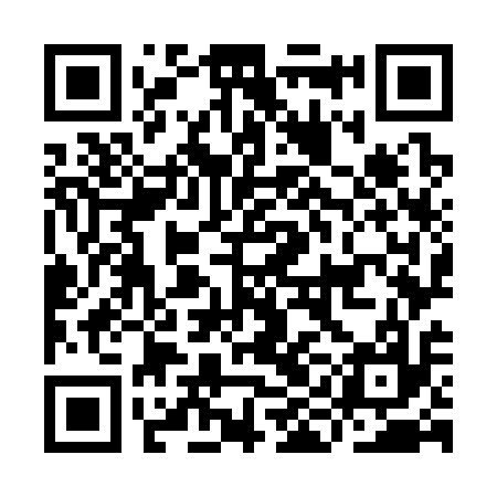 QR code for IIO317