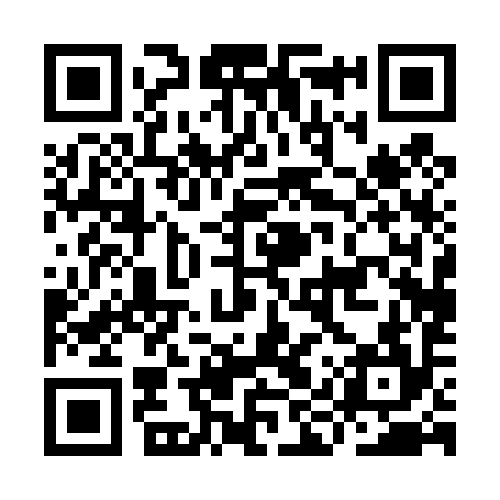 QR code for IIP494