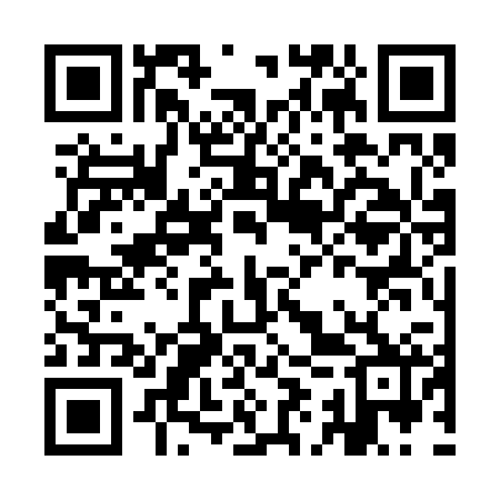 QR code for IIS222