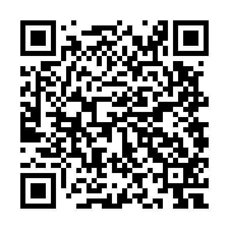QR code for IIV513