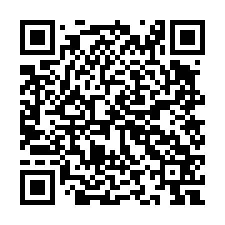 QR code for IIW463