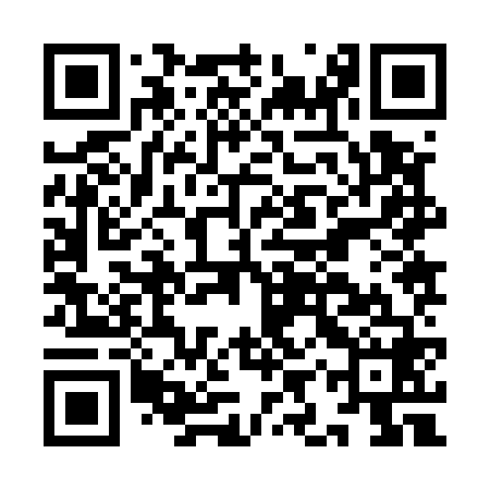 QR code for IIZ568