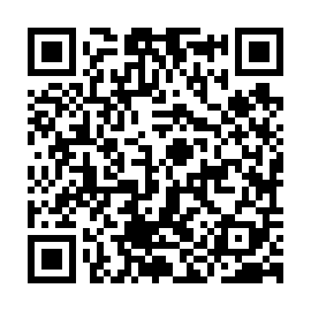 QR code for IIZ609