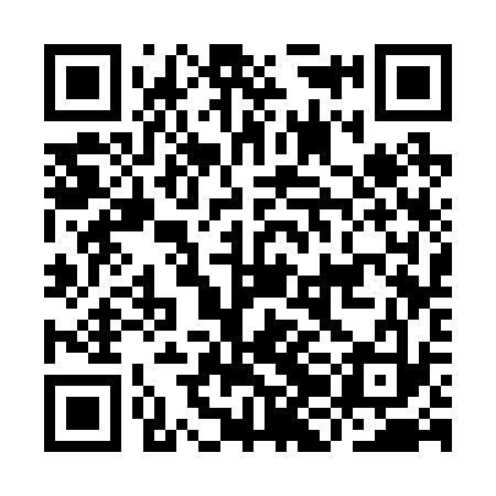 QR code for IJC233