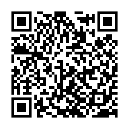 QR code for IJC411