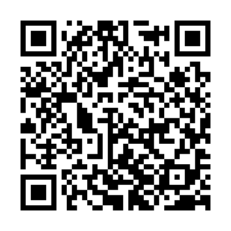 QR code for IJM399