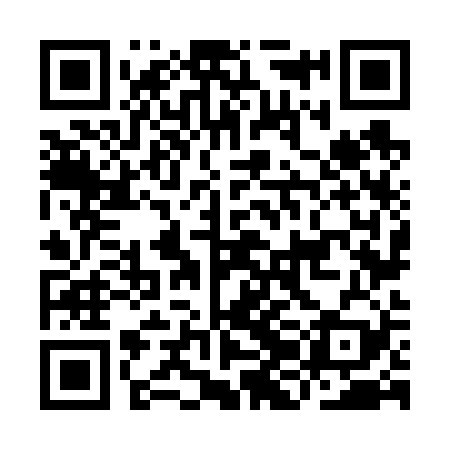 QR code for IJN629