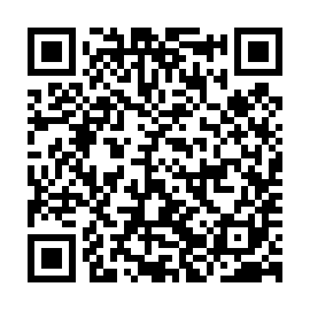 QR code for IJS481