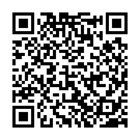 QR code for IJU738