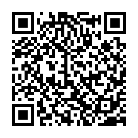 QR code for IJV311