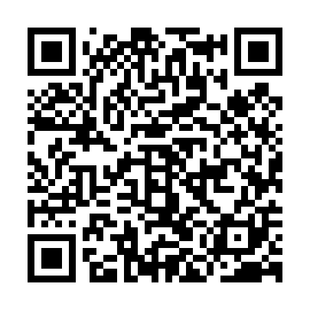 QR code for IMM401