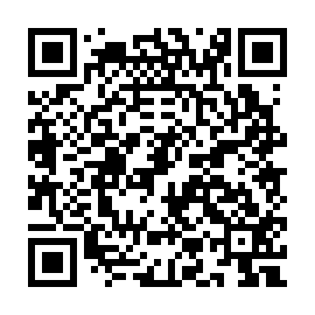 QR code for IMP313