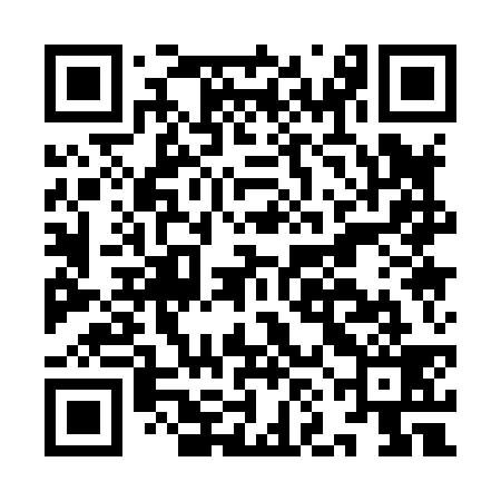 QR code for INA839